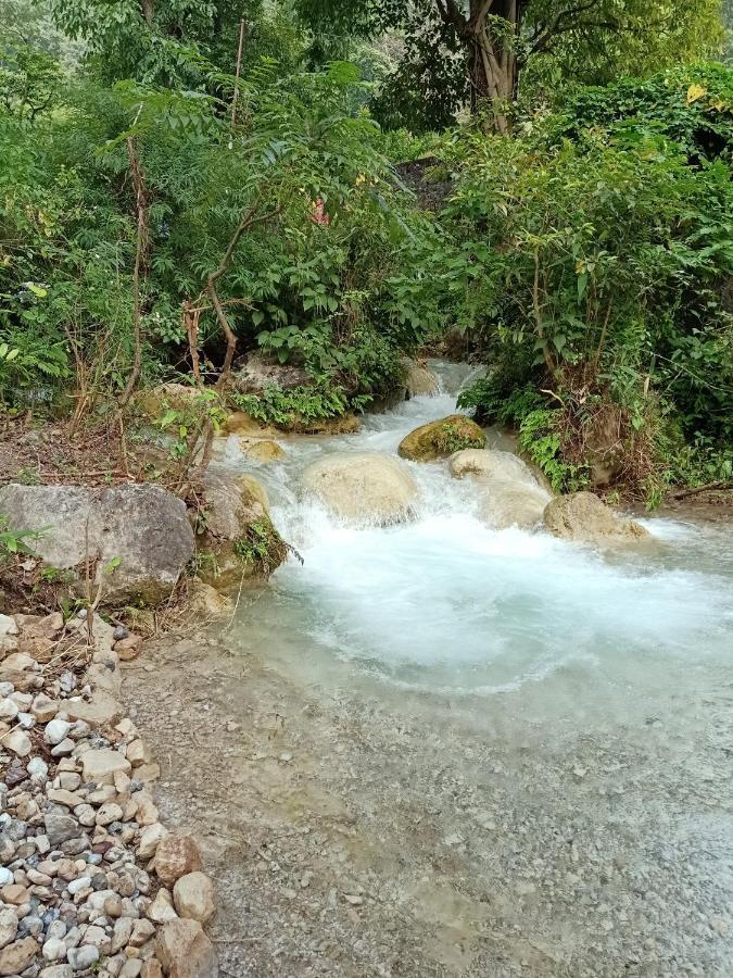 Shivanjal Wellness And Accommodation Rishikesh Exterior photo